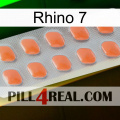 Rhino 7 26